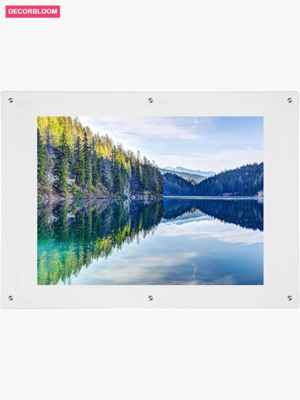 Ultra Clear Floating Acrylic Photo Frame 18x24 Wall Mount Silver Brackets
